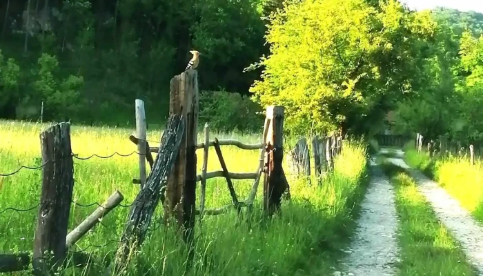 Iscroni -  Reduceri - Iscroni