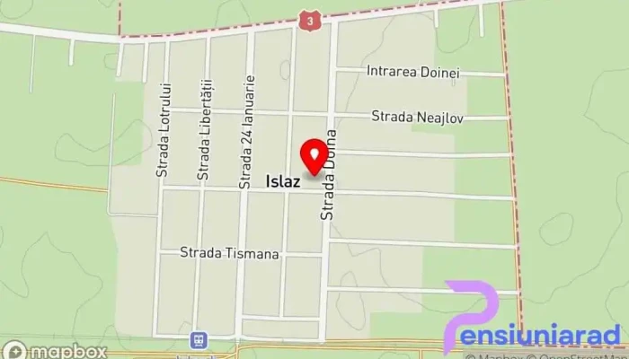 hartă a Islaz  în Islaz