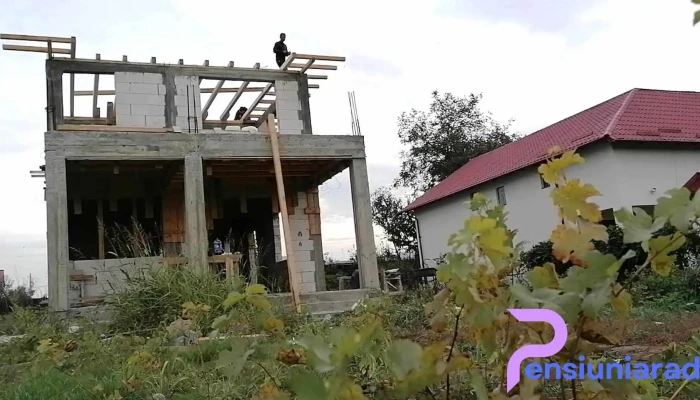 Islaz -  Videoclipuri - Islaz