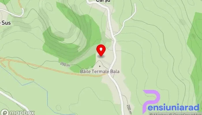 Izvor Sonda F2 -   Bazinele De Namol Si Apa Termala Hartă - Bala
