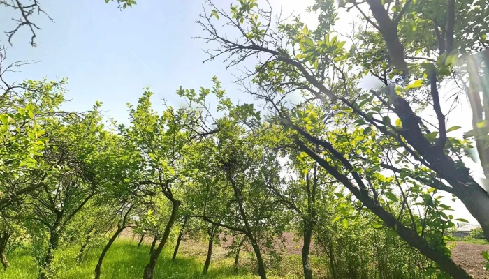 Izvoru -  Street View Si 360deg - Izvoru