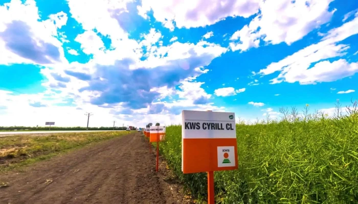 Judetul Olt Street View Si 360deg - Romania