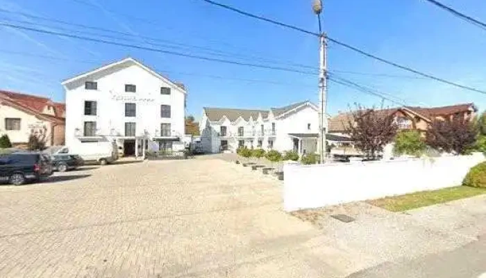 Krystal Boutique Mansion -  Street View Si 360deg - Peștișu Mare