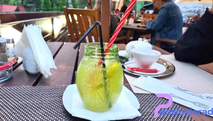 Kuib Restaurant -  Suc - Sinaia