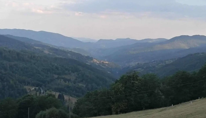 La Americanu -  Site Web - Bădăi