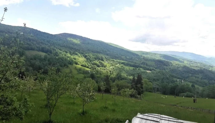 La Americanu -  Videoclipuri - Bădăi