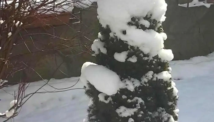 La Buna -  De La Vizitatori - Văliug