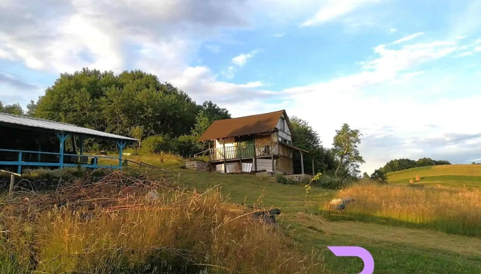La Busuri Camp Rosia De La Vizitatori - Roșia