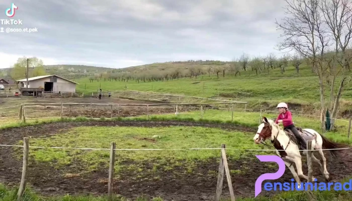La Hanul Cailor -  Videoclipuri - Ferma Nr.2