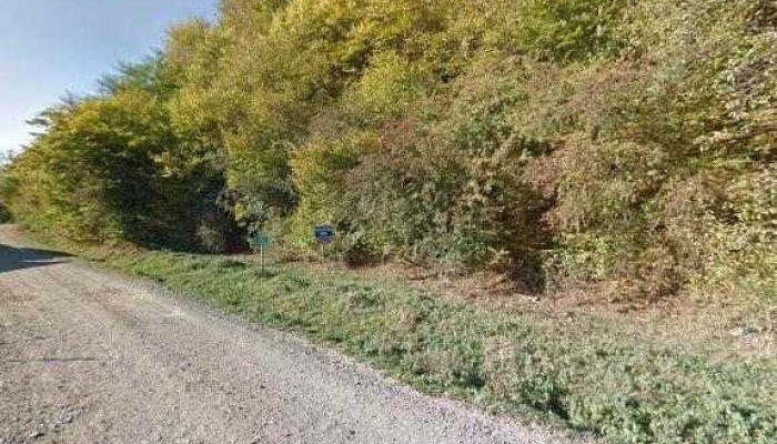 La Hanul Cotul Buhii -  Street View Si 360deg - Gura Humorului