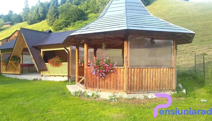 La Ionica -  De La Vizitatori - Dâmbovicioara