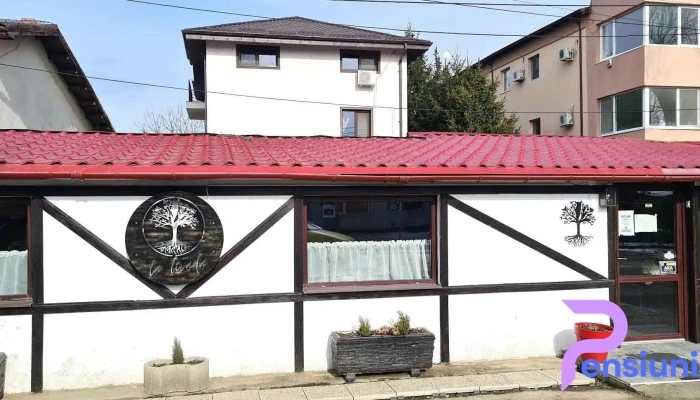 La Livada -  Comentarii - Otopeni