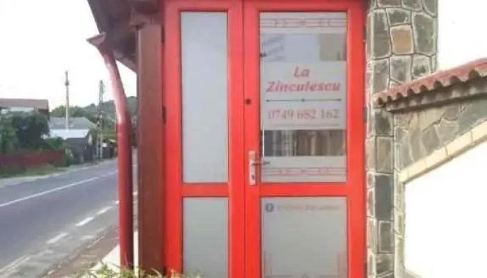 La Zinculescu -  Exterior - Comuna Albeștii De Argeș