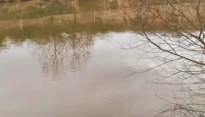 Lac Sanmarghita De La Proprietar - Sânmărghita