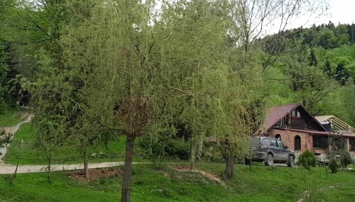 Lacul Boiereasca Modarzau -  Cum Să Ajungi Acolo - Zemeș