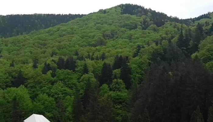 Lacul Boiereasca Modarzau -  Locație - Zemeș