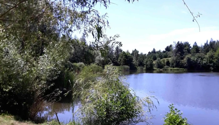 Lacul Boiereasca Modarzau -  Site Web - Zemeș
