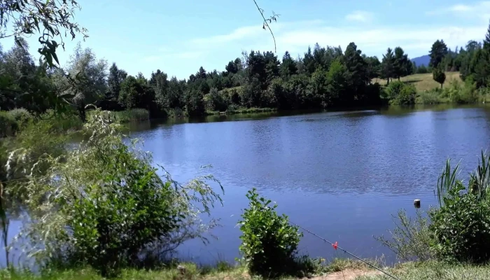 Lacul Boiereasca Modarzau -  Unde - Zemeș