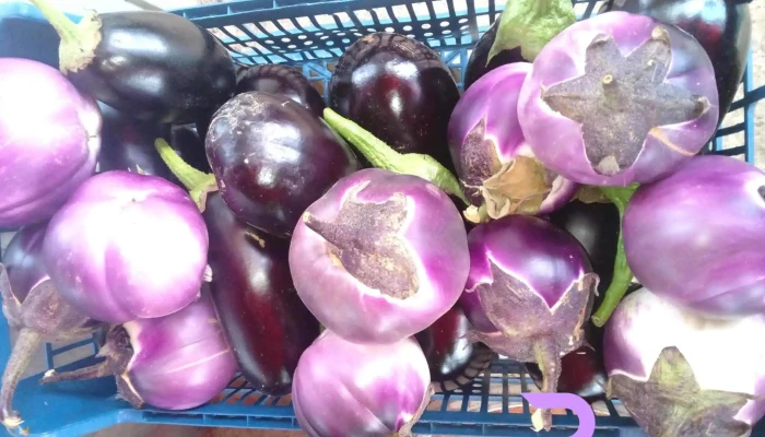 Legume Autentice Prajesti De La Proprietar - Bacău