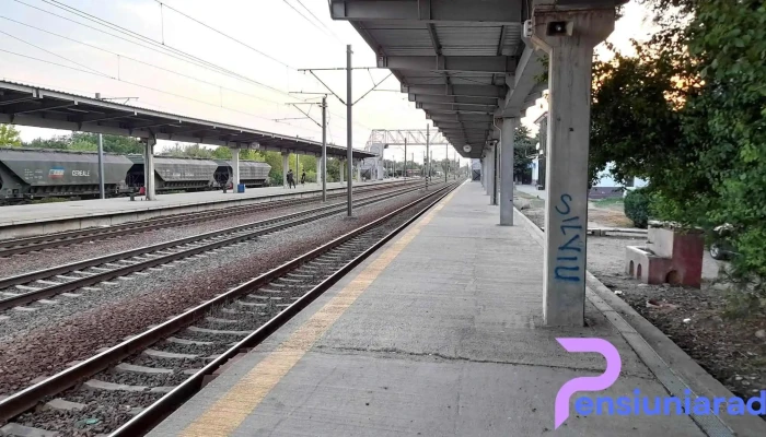 Lehliu -  Tren - Lehliu-gară