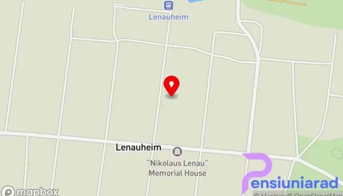 Lenauheim -  Hartă - Lenauheim