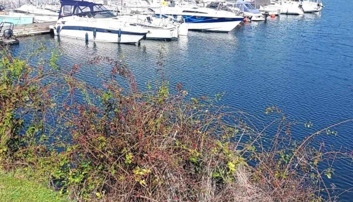 Life Harbour Marina -  Videoclipuri - Limanu