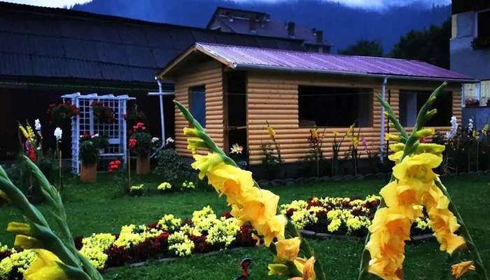 Liliana -  Cabana - Broșteni