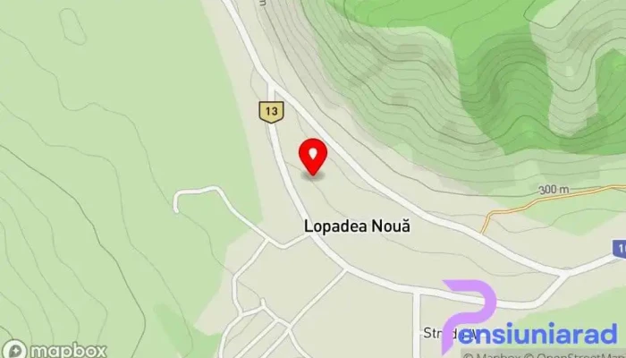 hartă a Lopadea Nouă  în Lopadea Nouă