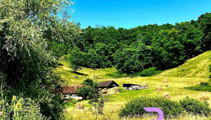 Luncoiu de Jos - Luncoiu De Jos