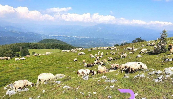 Lupeni -  Munte - Lupeni