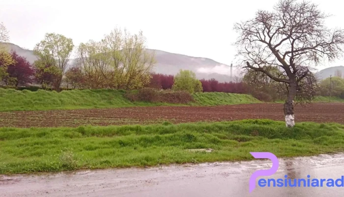 Lăpugiu de Jos - Lăpugiu De Jos