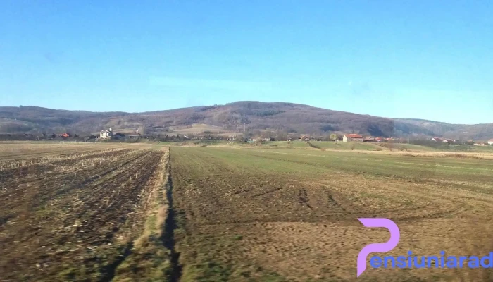 Magesti Munte - Măgești