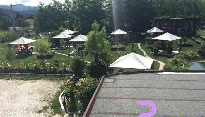 Magic Garden - Dărmănești