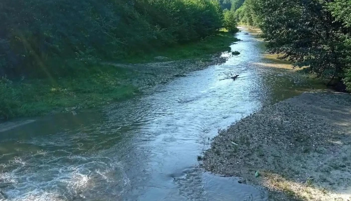 Malureni Recenzii - Mălureni