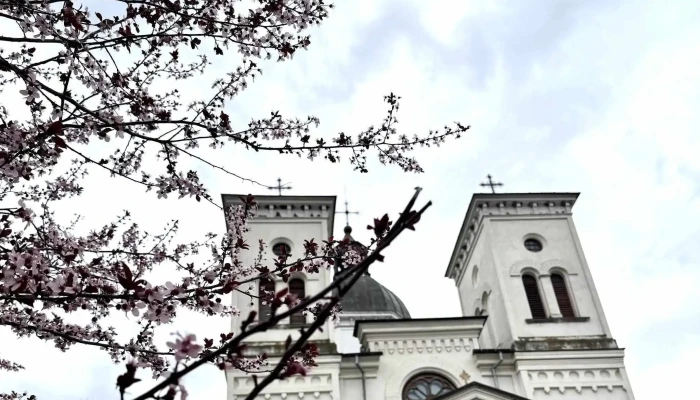 Manastirea Bistrita De Valcea Prețuri - Bistrița