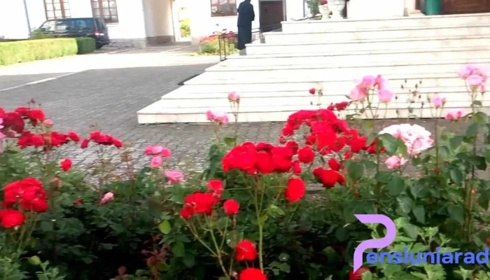 Manastirea Bistrita De Valcea Videoclipuri - Bistrița
