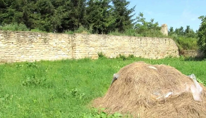 Manastirea Dobrovat Fotografii - Dobrovăț