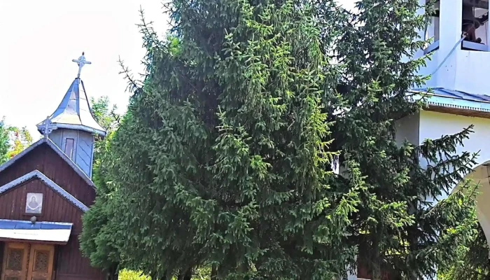 Manastirea Dridu Recenzii - Dridu