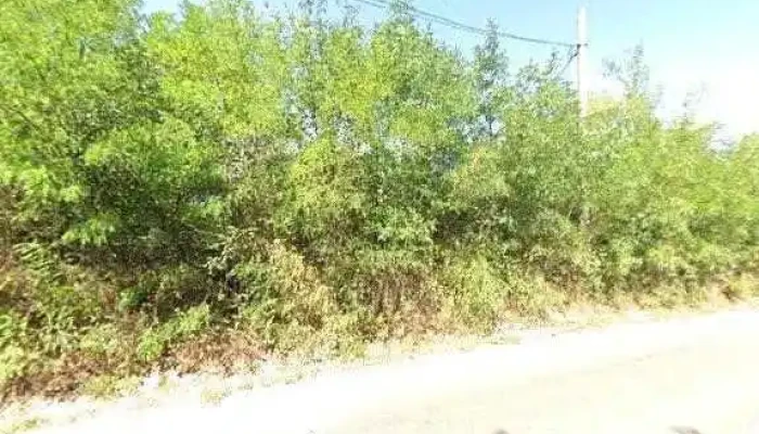 Manastirea Dridu Street View Si 360deg - Dridu