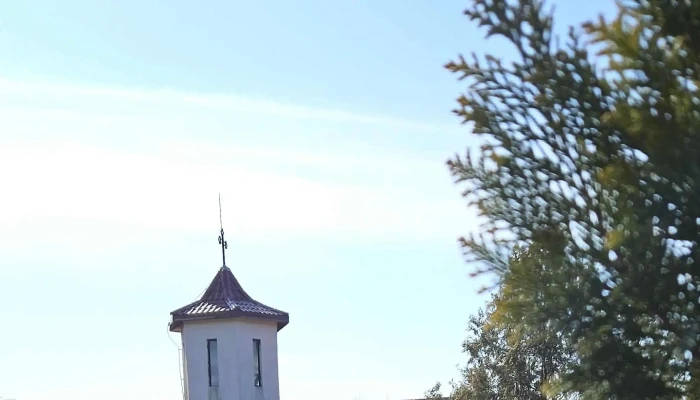 Manastirea Nasterea Sfantului Ioan Botezatorul Valea Teilor Adresă - Valea Teilor