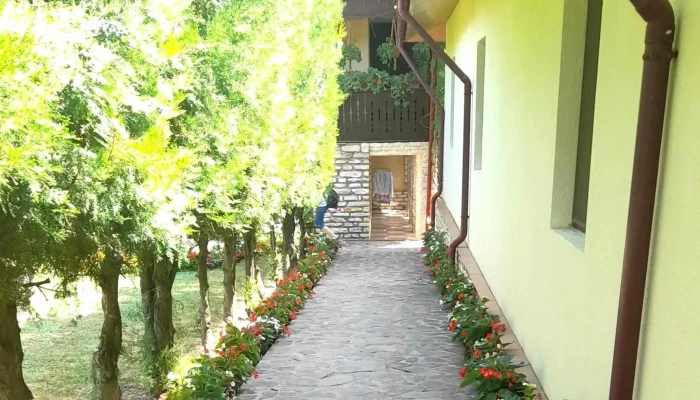 Manastirea Nasterea Sfantului Ioan Botezatorul Valea Teilor Program - Valea Teilor