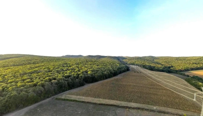 Manastirea Nasterea Sfantului Ioan Botezatorul Valea Teilor Street View Si 360deg - Valea Teilor