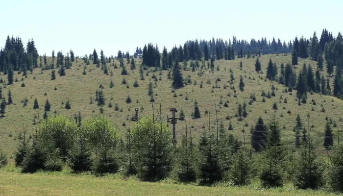 Manastirea Rasca Transilvana Deschis Acum - Râșca