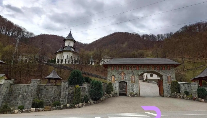 Manastirea Sfintii Apostoli Petru Si Pavel Rebra Cele Mai Recente - Rebra