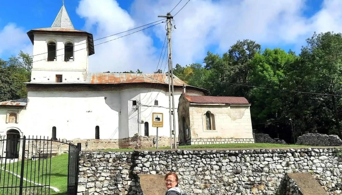 Manastirea Sfintii Voievozi Fotografii - Baia De Aramă