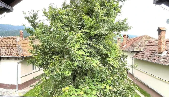 MansarDa - Lerești 117430