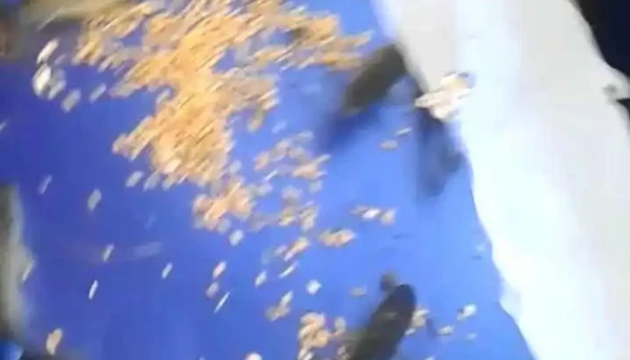 Maritei Videoclipuri - Măriței
