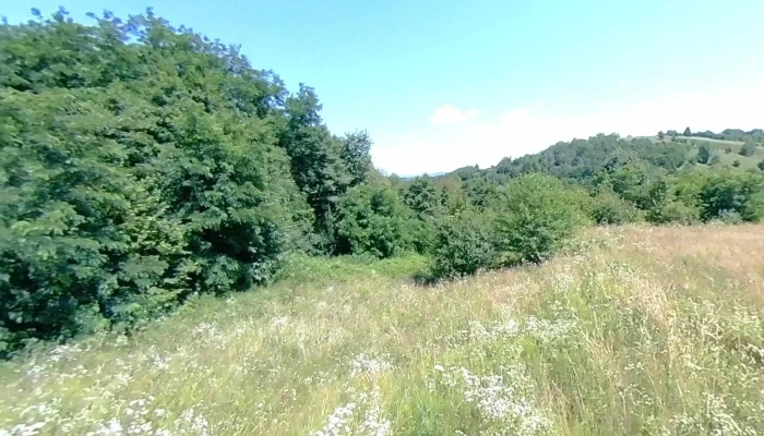 Mastacan Street View Si 360deg - Mastacăn