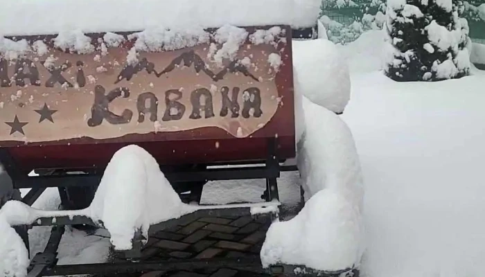 Maxi Kabana Bucovina -  Videoclipuri - Dorna Arini