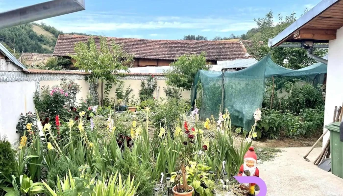 Mehadica House -  De La Vizitatori - Mehadica